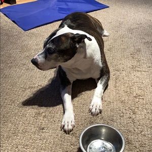 Meet your Posher, Jerome